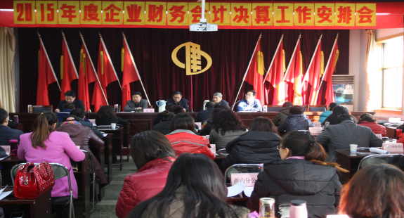 集團公司召開2015年度財務決算安排會議